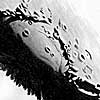 Sketch of Mare Crisium and Cleomedes Crater