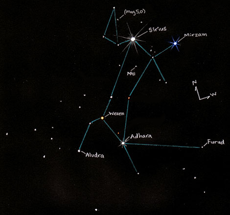 Star on Canis Major Constellation   Belt Of Venus