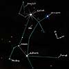 Sketch of Canis Major Constellation