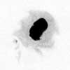 Sketch of Sunspot AR0923