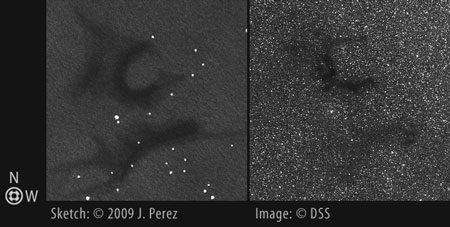 Sketch/DSS Photo Comparison of Barnard 142/Barnard 143 (B142/B143 - Barnard's E)