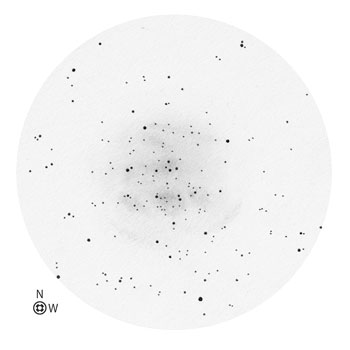 Negative Sketch of NGC 6940