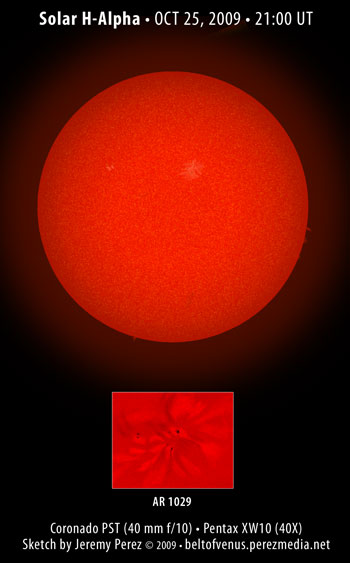 Solar H-Alpha Sketch - OCT 25, 2009 - 21:00 UT