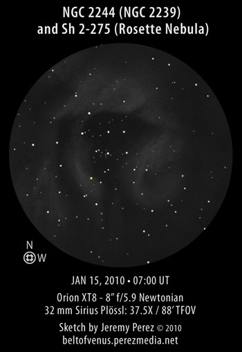 Sketch of NGC 2244 (NGC 2239) and Sh 2-275 (The Rosette Nebula)