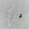 White Light AR1057 Sketch - MAR 27, 2010 - 23:30 UT