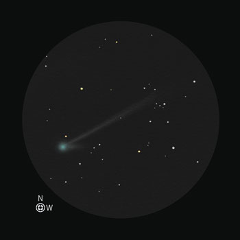 Positive Sketch of C/2009 R1 (McNaught)