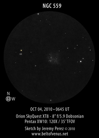 Sketch of NGC 559