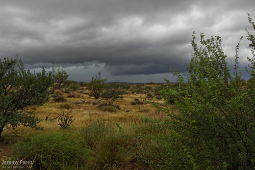 Updraft base in a line of convection as seen looking west from Highway 93 about six miles south of I-40. 8:10 AM / 1510Z