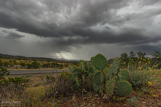 Disorganized convection paints the sky above a soaked desert landscape. As seen from Highway 93 looking southeast. 10:20 AM / 1720Z