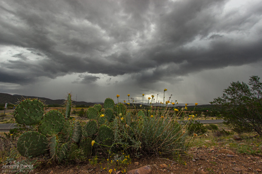 Disorganized convection paints the sky above a soaked desert landscape. As seen from Highway 93 looking southeast. 10:20 AM / 1720Z